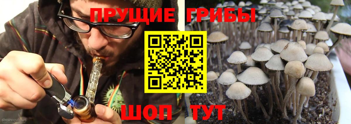 Евпатория  Псилоцибиновые грибы Psilocybine cubensis  Вход с VPN  Галлюциногенные грибы Cubensis 