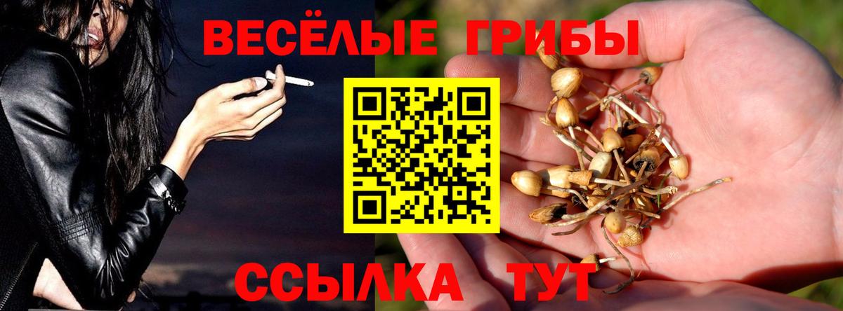 Псилоцибиновые грибы прущие грибы Евпатория