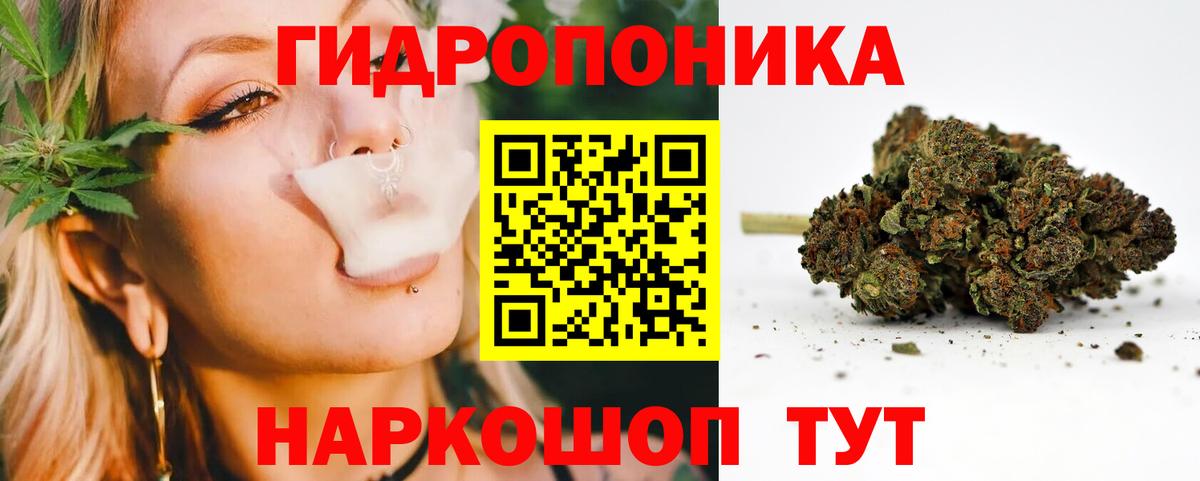 Каннабис MAZAR Евпатория